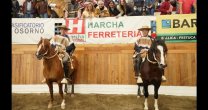 La alegría del La alegría del