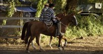 CaballoyRodeo en Vivo: La gran previa del Clasificatorio de San Clemente CaballoyRodeo en Vivo: La gran previa del Clasificatorio de San Clemente