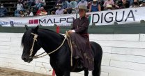 Gabriela Balmaceda y su clasificación en Rienda a lo Amazona: El Torero es un gran caballo