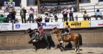 Santiago Sur lideró a las asociaciones con más colleras premiadas en el Clasificatorio Norte Santiago Sur lideró a las asociaciones con más colleras premiadas en el Clasificatorio Norte