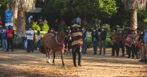 Comisión Exposiciones prepara la Muestra de Grandes Campeones para el Champion de Chile Comisión Exposiciones prepara la Muestra de Grandes Campeones para el Champion de Chile