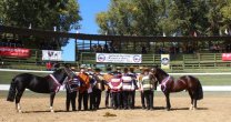 Federación de Criadores y Asociación Talca participaron en exposición realizada por Fenaro Federación de Criadores y Asociación Talca participaron en exposición realizada por Fenaro