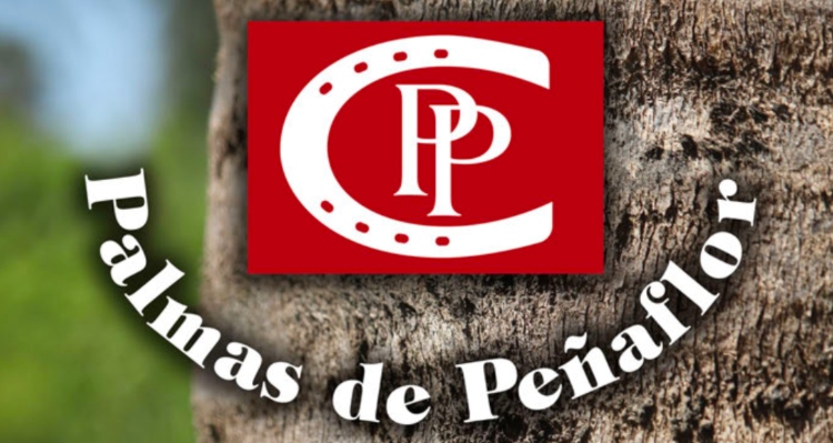 Palmas de Peñaflor tiene un remate de 30 destacados ejemplares
