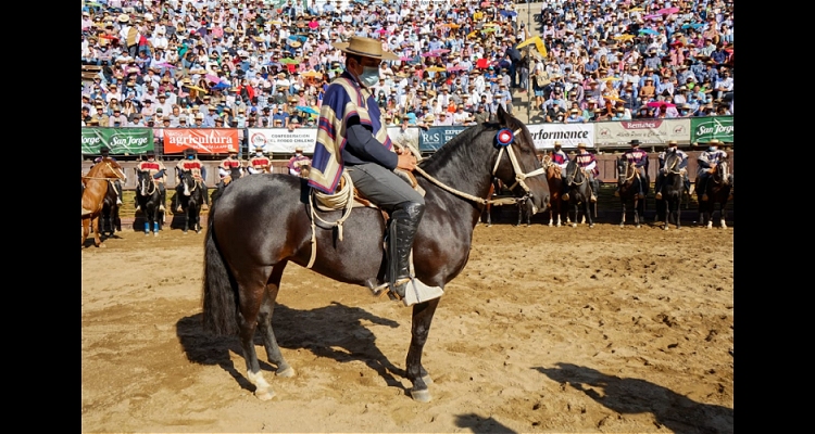 San Manuel de la Punta Mi Negra tomó el testimonio de la emblemática Esa Negra en el Champion de Chile