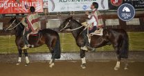 App Caballo Chileno: Revisa detalles de los ganadores de las series en el 73° Campeonato Nacional App Caballo Chileno: Revisa detalles de los ganadores de las series en el 73° Campeonato Nacional