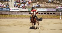 Romané Soto y su nueva corona en la Rienda: Es un premio al sacrificio Romané Soto y su nueva corona en la Rienda: Es un premio al sacrificio