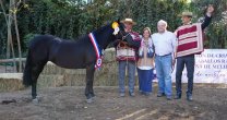 Los Grandes Premios de la Expo Melipilla 2022
