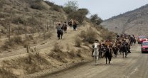 Cabalgata de la Asociación Limarí y Club Punitaqui cumplió las expectativas Cabalgata de la Asociación Limarí y Club Punitaqui cumplió las expectativas