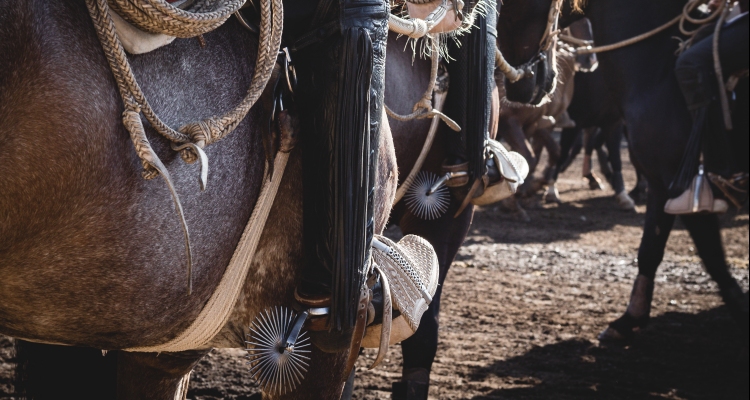 Arica tiene su tradicional rodeo de junio con varias visitas