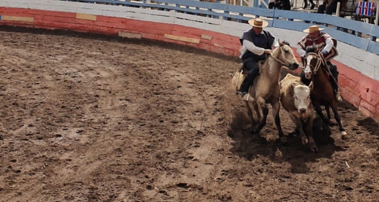 Club Valle de Camarones tiene su segundo rodeo consecutivo este fin de semana