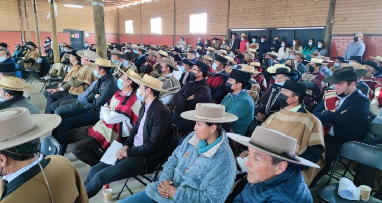 Federación del Rodeo realizó educativa charla sobre Embocaduras y Bienestar Animal en Colina