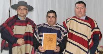 Mauricio Toloza, Mejor Jinete Profesional y Arreglador de Concepción: Mauricio Toloza, Mejor Jinete Profesional y Arreglador de Concepción: