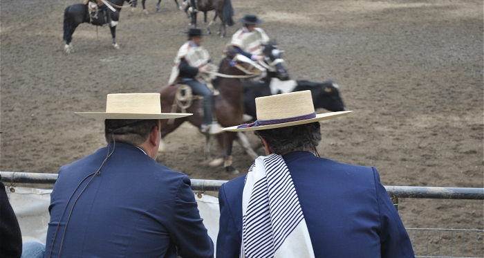 [Streaming] Las coordenadas para ver rodeos el fin de semana