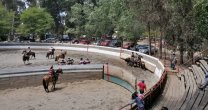 El gran Rodeo de la Amistad abrirá la temporada en la Asociación Linares El gran Rodeo de la Amistad abrirá la temporada en la Asociación Linares