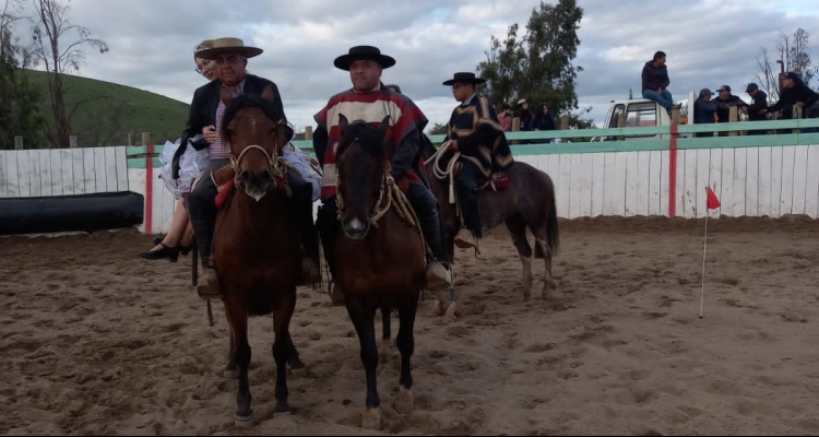 Criadero Quebrada de Angostura tuvo gran cosecha en rodeo del Club Camarico