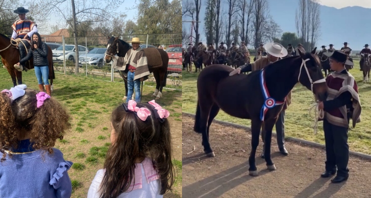 Socios de los Criadores de Colchagua llevaron el Caballo Chileno a estudiantes