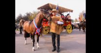 Aguas Claras de Huelquén tuvo acción en Fiestas Patrias con muestra de la Raza y la Parada Militar Aguas Claras de Huelquén tuvo acción en Fiestas Patrias con muestra de la Raza y la Parada Militar