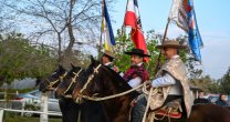 El Gil Letelier, las Amazonas y el Caballo Chileno se lucieron en la Parada Militar 2022 El Gil Letelier, las Amazonas y el Caballo Chileno se lucieron en la Parada Militar 2022