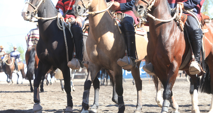 Club Santa Rita tiene todo preparado para un atractivo Rodeo Interasociaciones