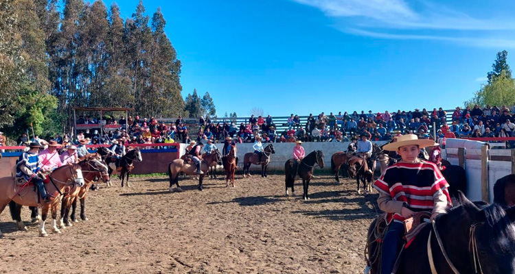 Escuadra Ecuestre del Club Carampangue tuvo su estreno oficial en Fiestas Patrias