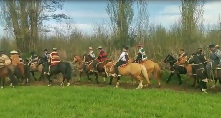 Cabalgata de los Criadores de Concepción fue un éxito en participación y convivencia