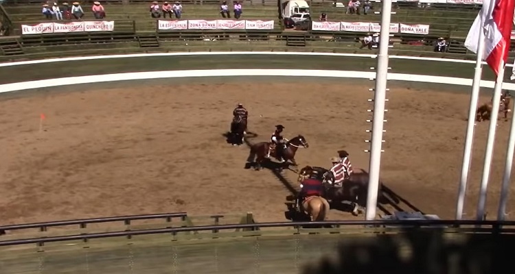 Desde Petorca a Chiloé llegarán colleras al Rodeo Para Criadores en la Medialuna de Pelarco