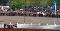 Así fue el triunfo del Criadero Santa Elba en el Provincial en Tres Series del Club Cunco