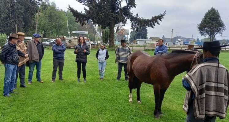 Criadores de Cautín mostraron gran interés en charlas del Día de Campo