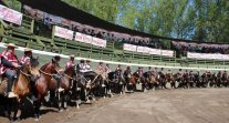 La fiesta corralera de la Asociación de Criadores de Talca en Pelarco