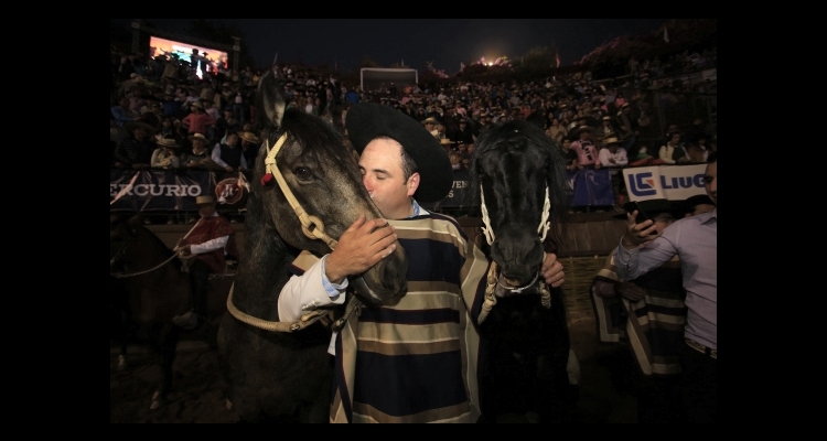 Día Internacional: El cariño por los animales, un tema fundamental en el mundo del rodeo y la crianza