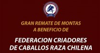 Federación de Criadores realiza extraordinario remate de montas de potros de selección Federación de Criadores realiza extraordinario remate de montas de potros de selección