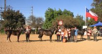 Los Grandes Premios de la Expogama Marchigüe 2022