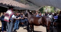Federación del Rodeo realizó recorrido por la Monumental a alumnos y profesores del Liceo Jorge Alessandri