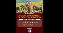 El catálogo del Gran Remate de Montas de la Federación Criadores de Caballos Raza Chilena