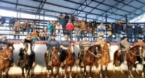 Club Aguas del Laja tiene armado su segundo rodeo Primera con Puntos de la temporada Club Aguas del Laja tiene armado su segundo rodeo Primera con Puntos de la temporada