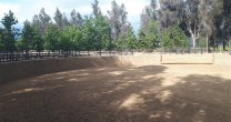 Colchagua tiene preparado un Primera con Puntos con sello de camaradería Colchagua tiene preparado un Primera con Puntos con sello de camaradería