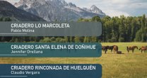 Criaderos Lo Marcoleta, Santa Elena de Doñihue y Rinconada de Huelquén salen a remate