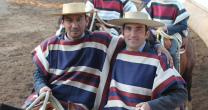 Urrutia y Gazmuri celebraron doble victoria en el rodeo de Curepto Urrutia y Gazmuri celebraron doble victoria en el rodeo de Curepto