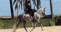Se acabó la espera: Española Laura Sánchez ofrecerá clínicas de Monta a lo Amazona la próxima semana Se acabó la espera: Española Laura Sánchez ofrecerá clínicas de Monta a lo Amazona la próxima semana