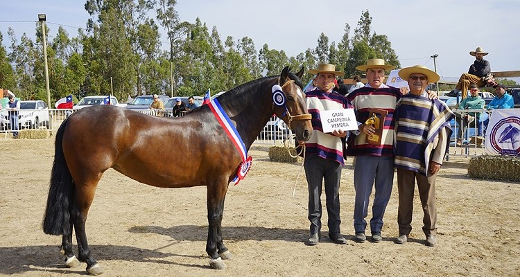 Gonzalo Vial Concha y los premios en la Expo Petorca: 