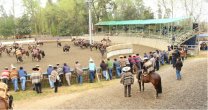 Club Los Llanos de Pelarco tiene un Primera con Puntos con su característico sello de calidad Club Los Llanos de Pelarco tiene un Primera con Puntos con su característico sello de calidad