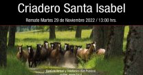 Criadero Santa Isabel sale a remate este martes con importantes ejemplares Criadero Santa Isabel sale a remate este martes con importantes ejemplares