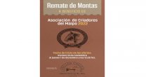 ¡Participa! Este jueves 1 de diciembre se cierra remate de montas de los Criadores de Maipo ¡Participa! Este jueves 1 de diciembre se cierra remate de montas de los Criadores de Maipo