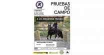 Competencia de Pruebas de Campo a lo Amazona Huasa dará realce al programa de la Expo Curicó Competencia de Pruebas de Campo a lo Amazona Huasa dará realce al programa de la Expo Curicó