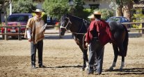 Criadores de O'Higgins disfrutaron con una linda Exposición en Rancagua