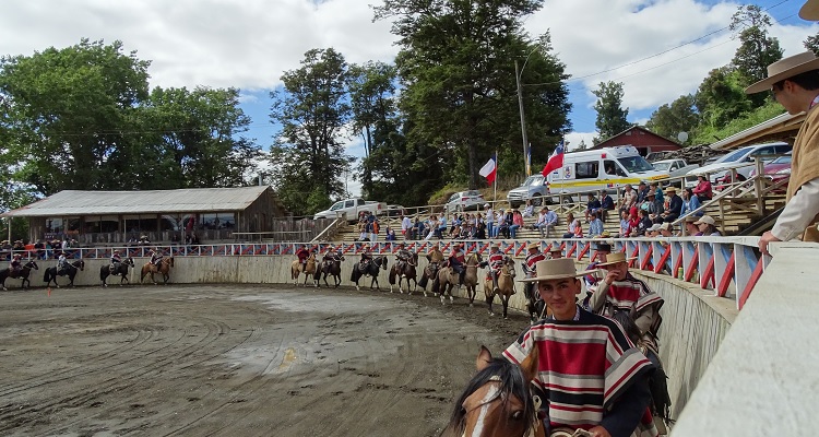 Loncotoro recibe la Exposición y Rodeo de la Asociación de Criadores Llanquihue y Palena