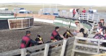 Criadero Chabunco ganó el primer rodeo de la temporada en Magallanes Criadero Chabunco ganó el primer rodeo de la temporada en Magallanes