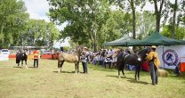 Ñuble tuvo una jornada para compartir en torno a su Exposición y Aparta