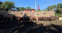 Las colleras premiadas del Zonal Sur 2022