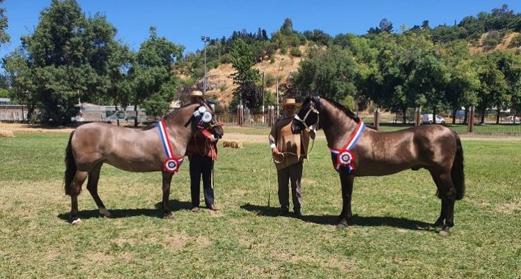 El Guaracazo y Estupenda ganaron los premios principales en la Expo Curicó